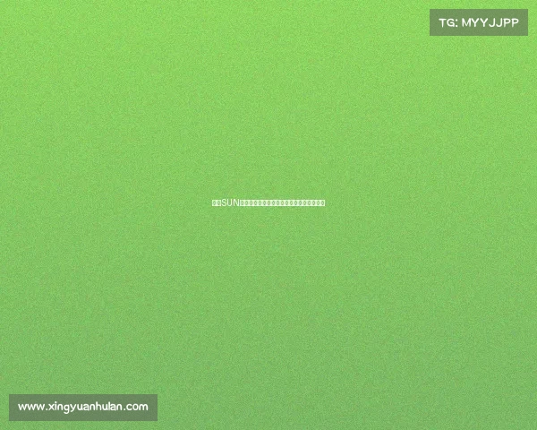 揭秘SUN赛事本质全面解析其定义历史与全球影响力