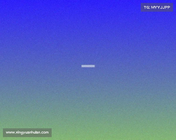 比赛赛事须知怎么写